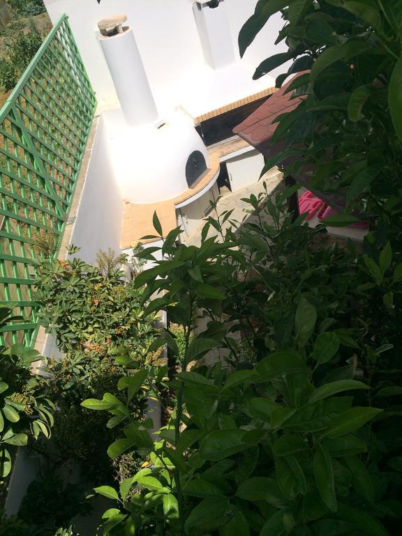 Villa Irida Psari Forada Ngoại thất bức ảnh